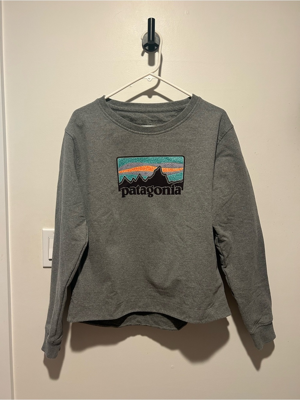 Patagonia Gray Crew Sweatshirt with Color-Block Mountain Logo